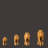 WOODEN FAIN PLANE CAMEL SET OF 4 - Image 3